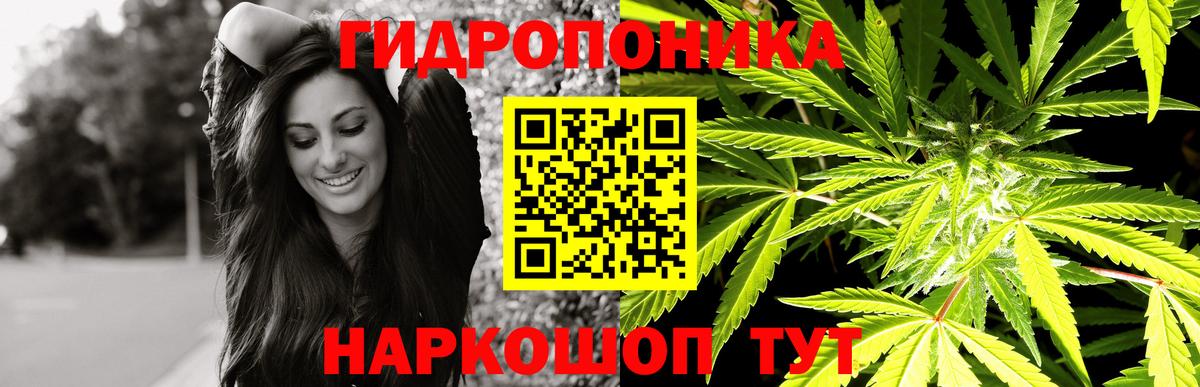 Бошки Шишки индика Мурино